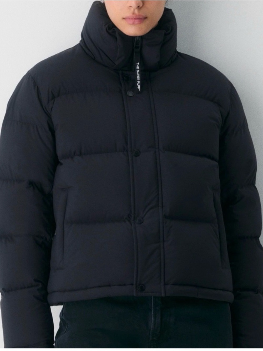 Aritzia Super Puff Shorty